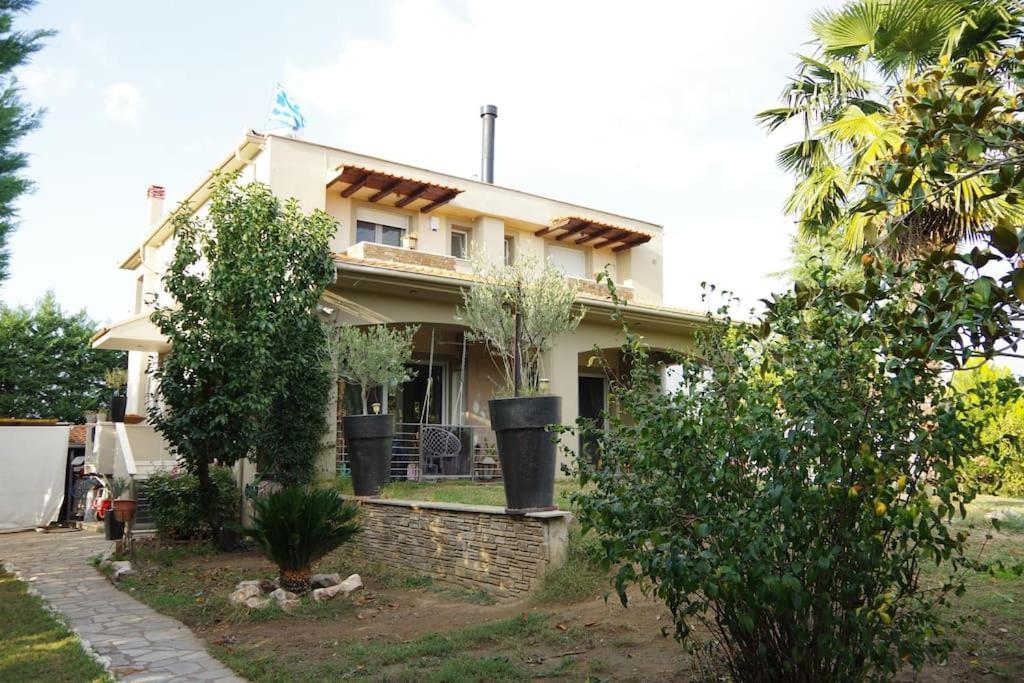 טריקלה Villa Vasili מראה חיצוני תמונה